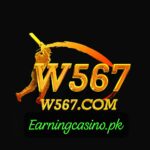 W567 game logo